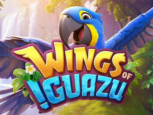 Wings of Iguazu screenshot